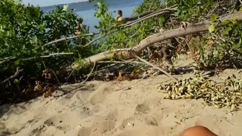 Русская телка теребит письку на пляже
